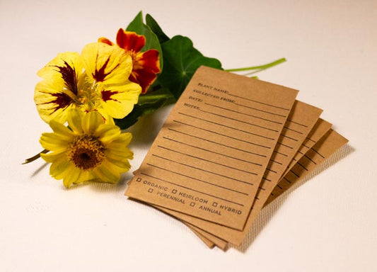 Seed Saver Envelopes
